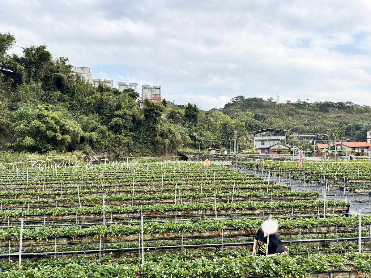 【苗栗旅遊|苗栗景點】苗栗旅遊|苗栗大湖半日遊行程,大湖酒莊 【苗栗旅遊|苗栗景點】苗栗旅遊|苗栗大湖半日遊行程,大湖酒莊