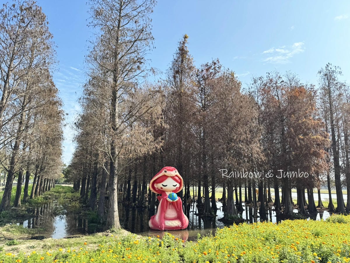 【台南六甲|六甲景點】菁埔埤落羽松森林|免門票的超美、超好拍 【台南六甲|六甲景點】菁埔埤落羽松森林|免門票的超美、超好拍