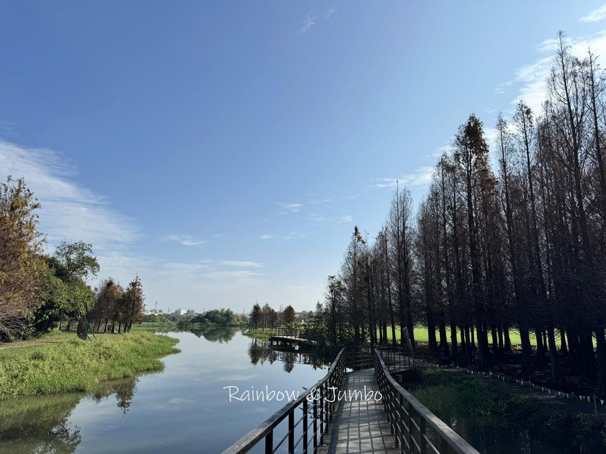 【台南六甲|六甲景點】菁埔埤落羽松森林|免門票的超美、超好拍 【台南六甲|六甲景點】菁埔埤落羽松森林|免門票的超美、超好拍