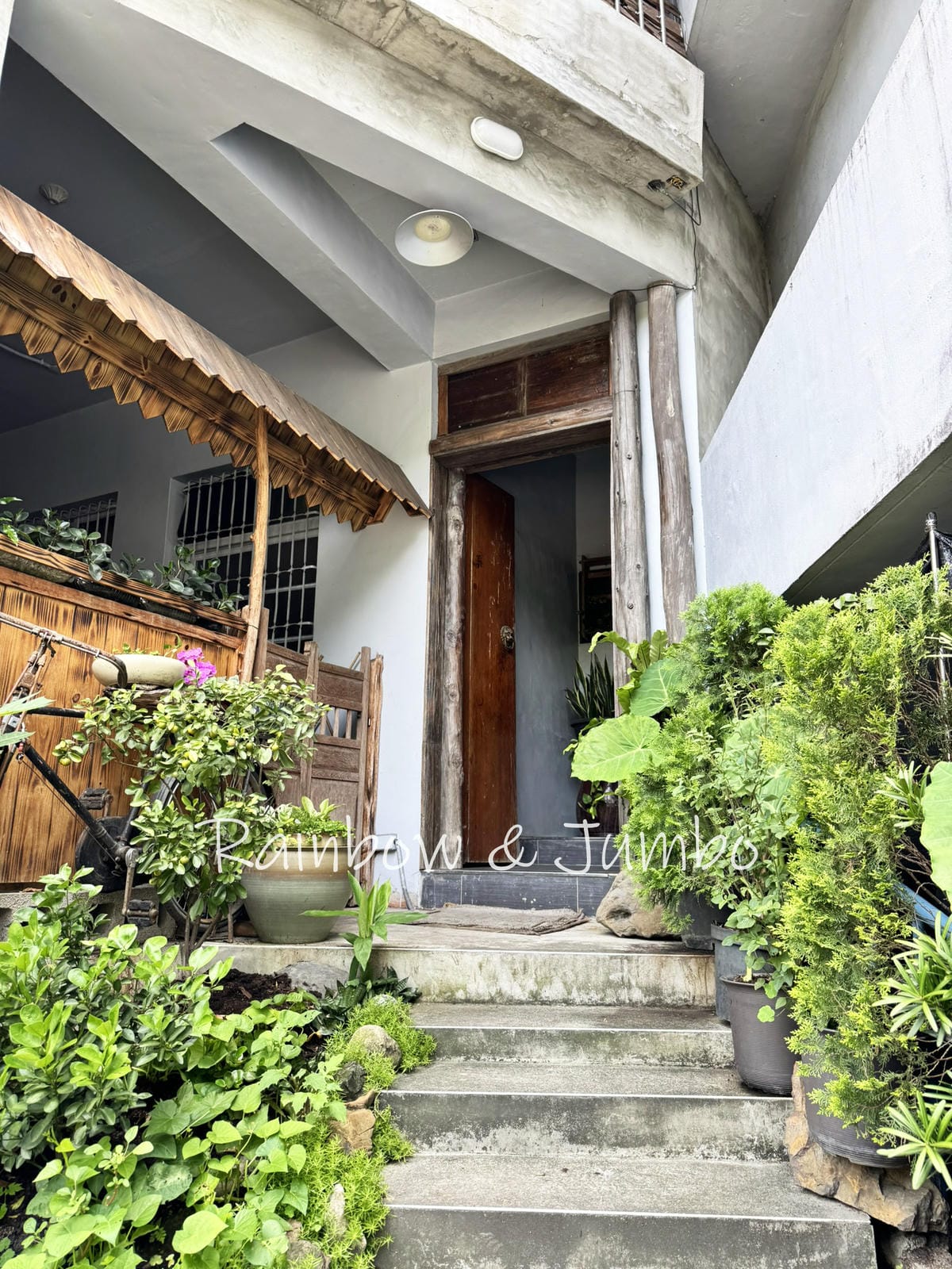 【不專業食記】新北新店|烏來真味素食堂|無菜單料理的素食餐廳 【不專業食記】新北新店|烏來真味素食堂|無菜單料理的素食餐廳