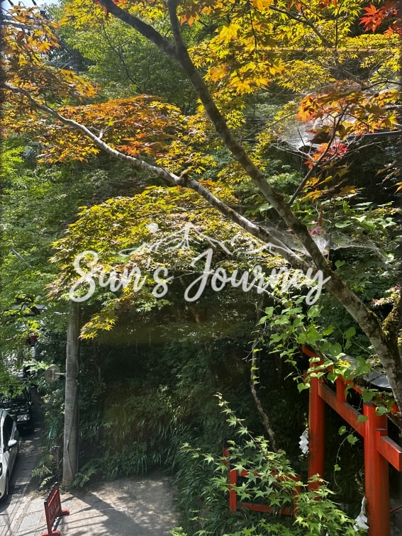 2025 Rainbow京都快閃之旅|貴船京紫陽(Kifune Kyoshiyo)|貴船神社旁的森林咖啡廳|京都避暑景點 - 第5張圖 2025 Rainbow京都快閃之旅|貴船京紫陽(Kifune Kyoshiyo)|貴船神社旁的森林咖啡廳|京都避暑景點