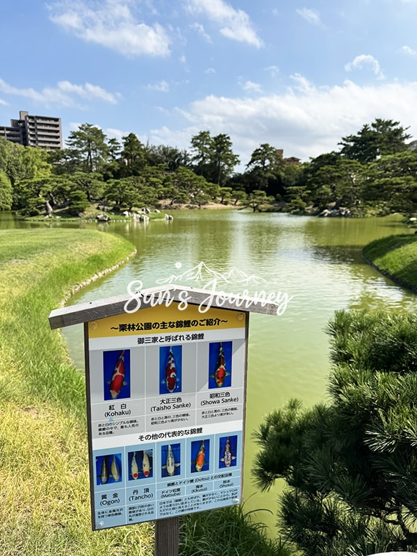 2025 Jumbo日本瀨戶內海跳島行｜栗林公園｜高松名勝庭院，掬月亭品和菓子｜高松景點